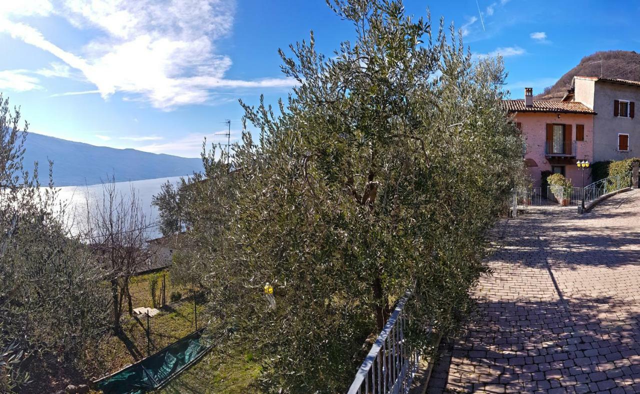 TremosineUlivi Sul Garda Garden By Gardadomusmea公寓 外观 照片